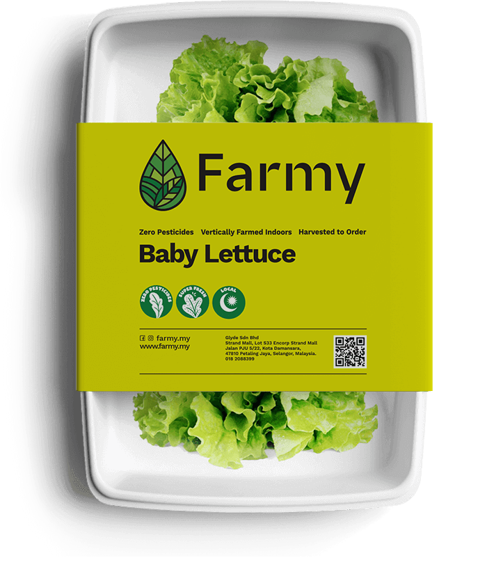 Baby Lettuce | Farmy
