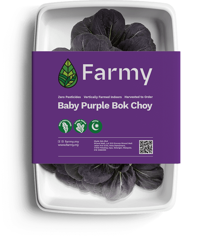 Baby Purple Bok Choy | Farmy