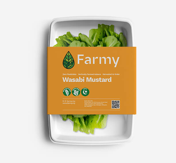 Wasabi Mustard | Farmy
