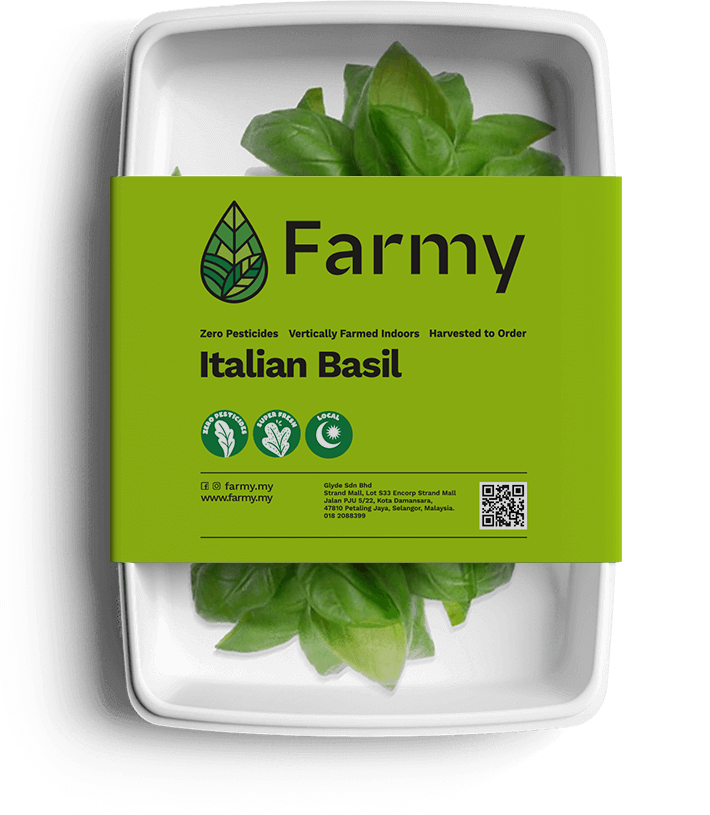 Italian Basil | Farmy