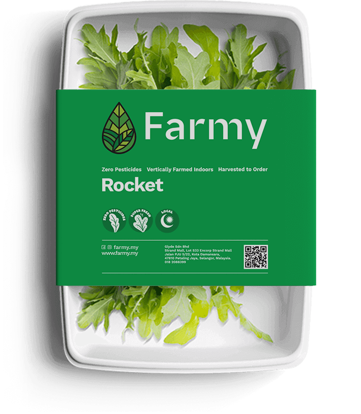 Rocket | Farmy